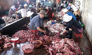 Nửa vời trách nhiệm