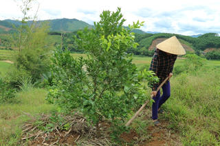 Hương Thọ hối hả về đích nông thôn mới