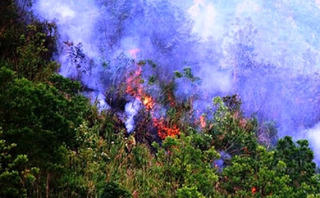 Miền Trung đối diện nguy cơ cháy rừng