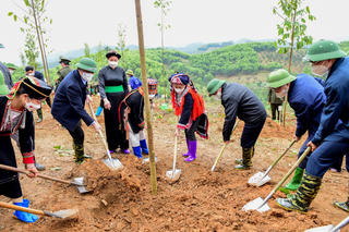 Chủ tịch Đỗ Văn Chiến phát động Tết trồng cây tại tỉnh Tuyên Quang