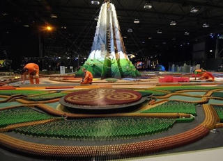 Một con ruồi làm đổ hơn 50 vạn mảnh domino xếp trong 2 tuần