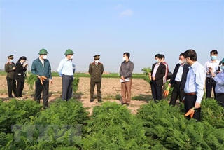 Thống nhất việc lưu thông, hạn chế ách tắc hàng hóa từ vùng dịch