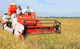 Tăng nguồn vốn đầu tư vào nông nghiệp sạch