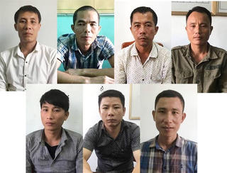 Quảng Bình: Khởi tố 7 đối tượng phá rừng Phong Nha Kẻ Bàng