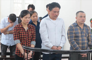 Phạt tù các đối tượng trong đường dây tổ chức tour du lịch 'ảo'