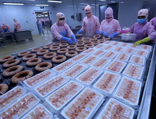 Viện McKinsey đánh giá tích cực triển vọng phát triển kinh tế Việt Nam