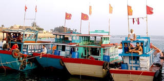 Hỗ trợ các ngư dân bị tàu nước ngoài đâm va