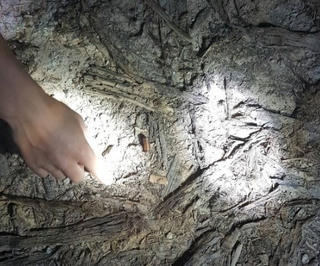 Hà Tĩnh: Khởi tố đối tượng bắn trưởng thôn trọng thương