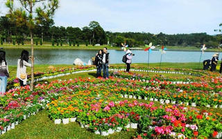 Festival hoa Đà Lạt: Hương sắc cao nguyên