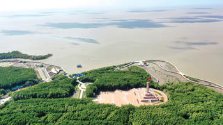 Đất Mũi không xa