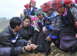 Xuất khẩu lao động huyện nghèo: Tạo điều kiện vào thị trường thu nhập cao