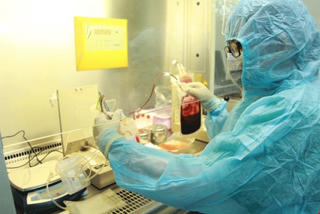 Tế bào gốc cuống rốn: Điều trị bệnh  hiểm nghèo