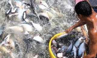 Tăng mức cho vay hộ gia đình vùng khó khăn