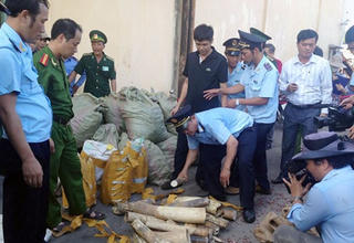 Khen thưởng đơn vị phát hiện vụ buôn lậu ngà voi, sừng tê giác