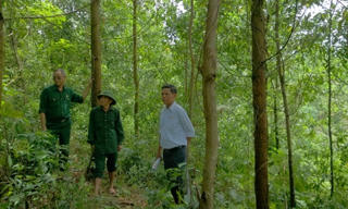 Triệu phú người Mã Liềng