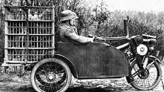 Chim bồ câu – ‘chiến sĩ thông tin’ đắc lực một thời