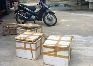 Phát hiện xe máy bị trộm và chân, da bốc mùi hôi thối