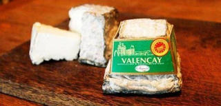 Khuyến cáo phô mai sữa dê nhập khẩu nhiễm khuẩn