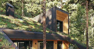 Mát mắt với những căn nhà 'siêu xanh' từ rừng sâu tới giữa đô thị