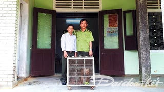 Người dân bàn giao cá thể động vật quý hiếm để thả về tự nhiên