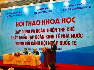 Thể chế cho tập đoàn kinh tế phát triển hiệu quả