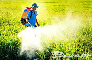 Báo động tình trạng quản lý, sử dụng thuốc bảo vệ thực vật tại ĐBSCL