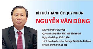 Bình Định: Bí thư, Phó Bí thư Thành ủy Quy Nhơn tái cử