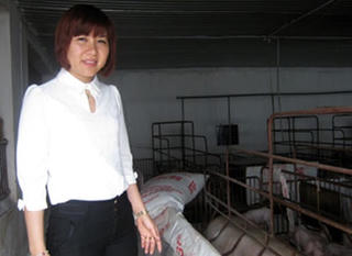 Đại biểu HĐND tỉnh bị tạm đình chỉ do lập khống chứng từ