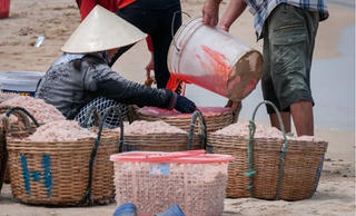 Xác minh việc dùng hóa chất nhuộm đỏ ruốc