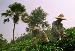 Hoàn thiện hệ thống  pháp luật về dân tộc và tập trung đầu tư có trọng điểm vùng dân tộc thiểu số