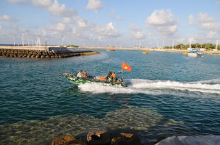 Lập trường hòa bình