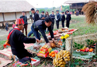 Sắc Xuân trên mọi miền Tổ quốc