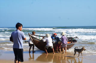 Kiếm bạc triệu nhờ đi thuyền thúng bắt cá trích