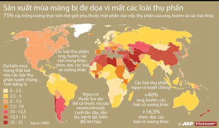 [Infographics] Sản xuất mùa màng bị đe dọa vì mất các loài thụ phấn