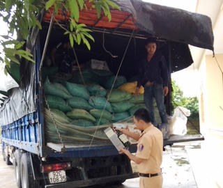 Bắt giữ gần 900 chai rượu dán mác ngoại không giấy tờ hợp lệ