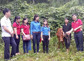 Liên thế hệ tự giúp nhau