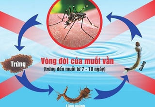 Nói không với bệnh sốt xuất huyết rất dễ nếu…