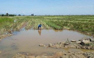 Đi bắt ốc trượt chân ngã xuống kênh, một cháu bé tử vong