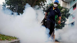 Zika tấn công Đông Nam Á