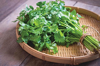 Rau mùi: gia vị & làm thuốc