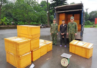 Quảng Ninh: Thu giữ 500 kg cá tầm nhập lậu từ Trung Quốc 