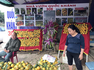 Nông dân vẫn chờ vào vận may?