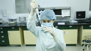 Những ngày vượt bão
