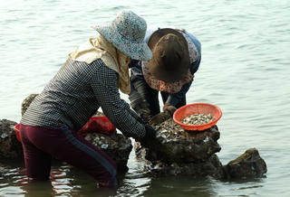 Sản vật ở sông Loan