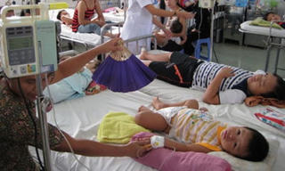 Sốt xuất huyết vào mùa