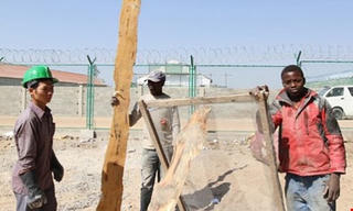 Khuyến cáo phòng chống dịch sốt vàng da cho lao động Việt tại Angola