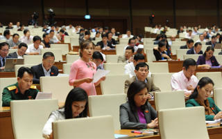 Ngăn chặn lợi ích nhóm, sân sau
