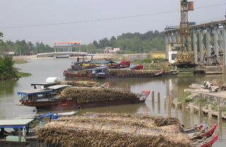 Vị ngọt từ đầu vụ mía mới