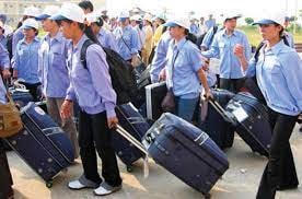 Nhu cầu tuyển điều dưỡng đi làm ở Nhật Bản tăng cao