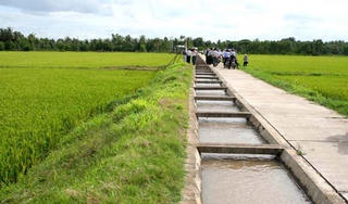 Long An: Cuối năm 2015 sẽ có 43 xã nông thôn mới